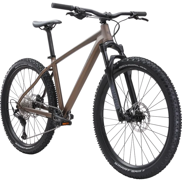 Storm 100 metallic brown