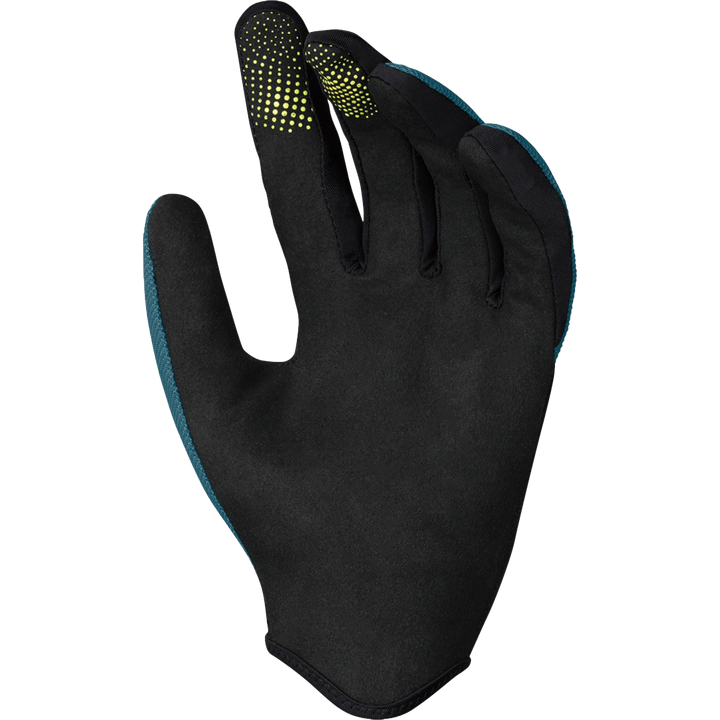 Carve gants marine